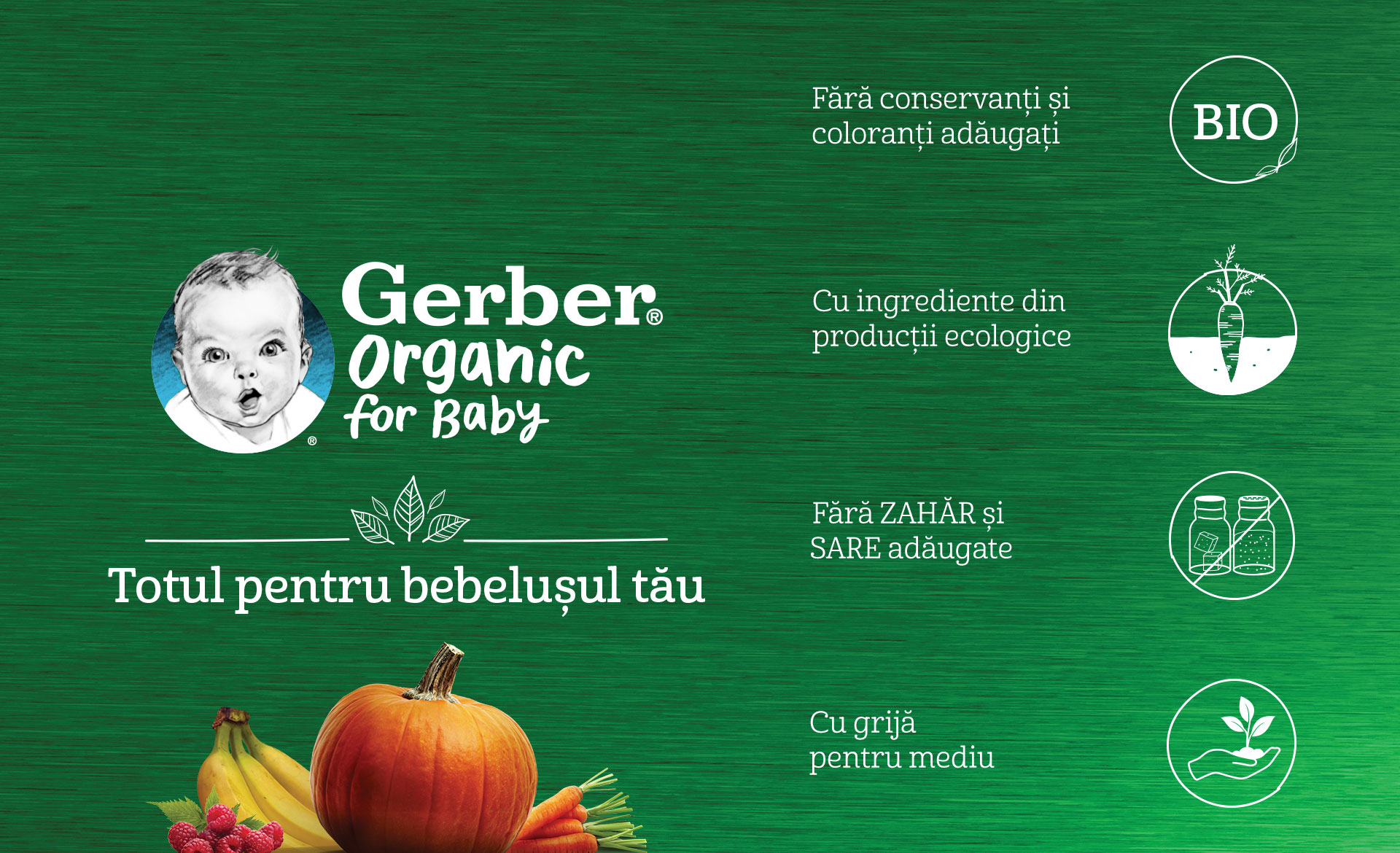 Gerber borcanel beneficii