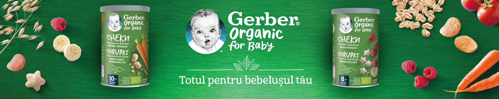 Gerber Organic Nutripuff