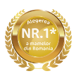 nr-1