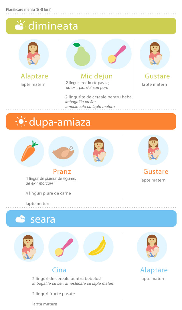 infografic cu planificarea meniului pentru copii de 6-8 luni