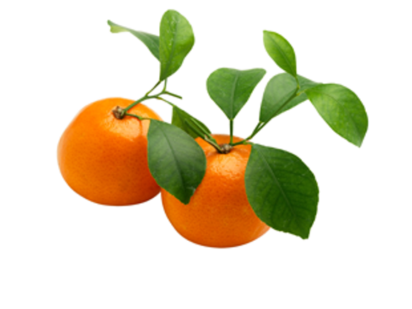 felii-de-mandarina