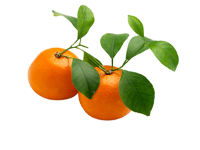 felii-de-mandarina