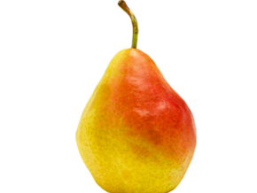 felii-de-para-moale