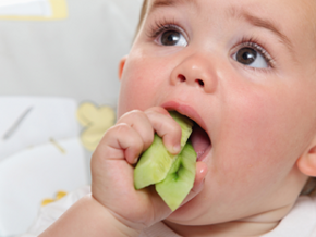 Solutii pentru un bebe mofturos la mancare Solutii pentru un bebe mofturos la mancare
