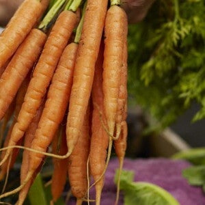 Descopera alimente noi