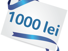 1000 lei