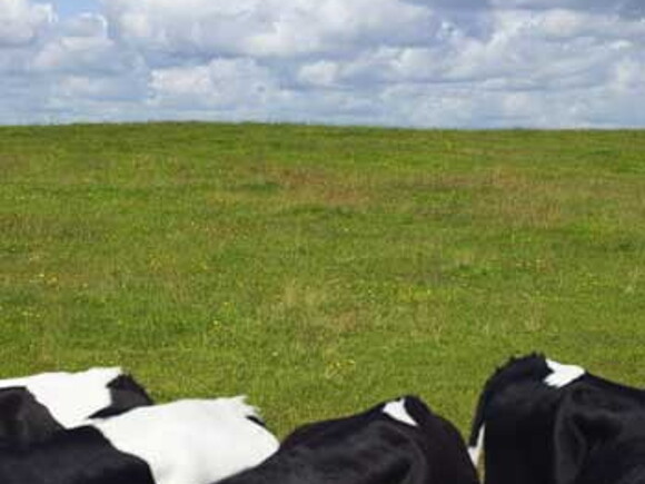 alergia la proteina din laptele de vaca