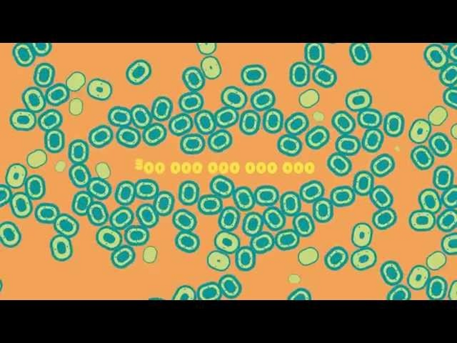 Primele 1000 de zile - Programul Nestle