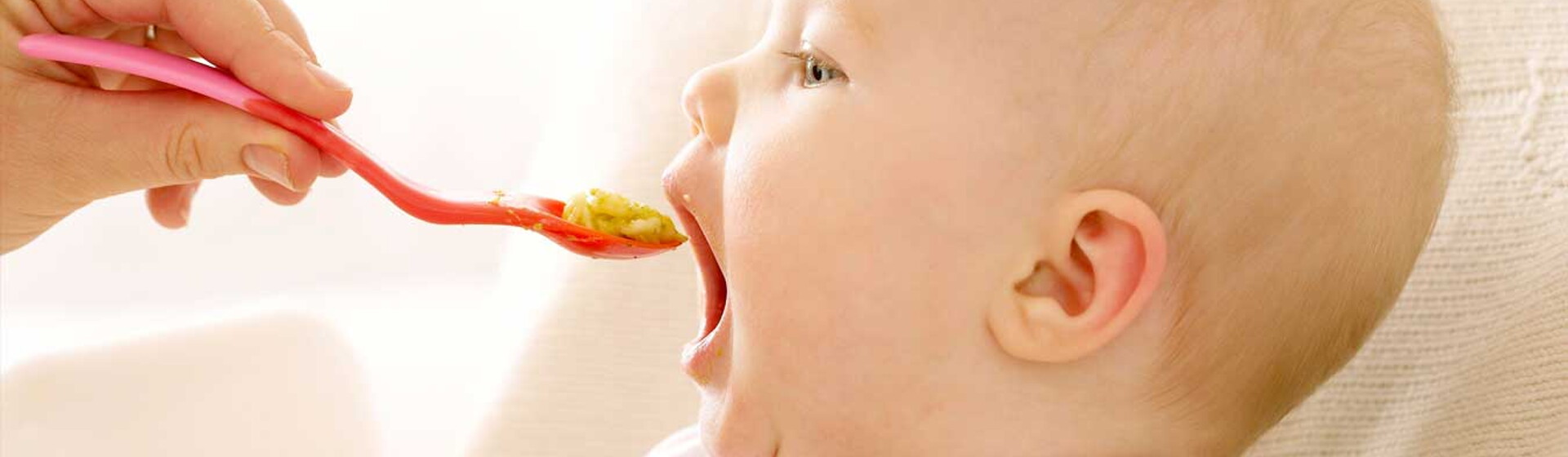 header-category-page-food-01 header-category-page-food