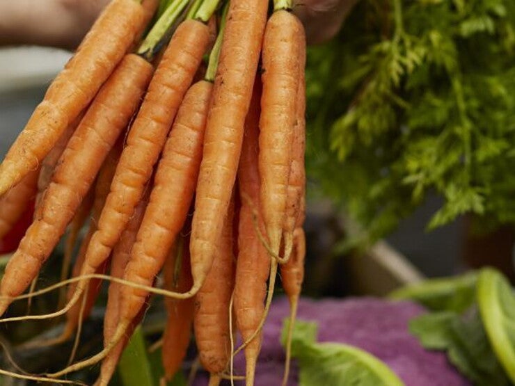 Descopera alimente noi Descopera alimente noi