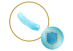 Probiotic Probiotic
