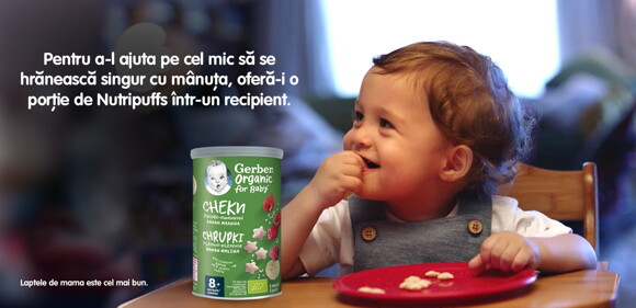 NutriPuffs Gerber Organic