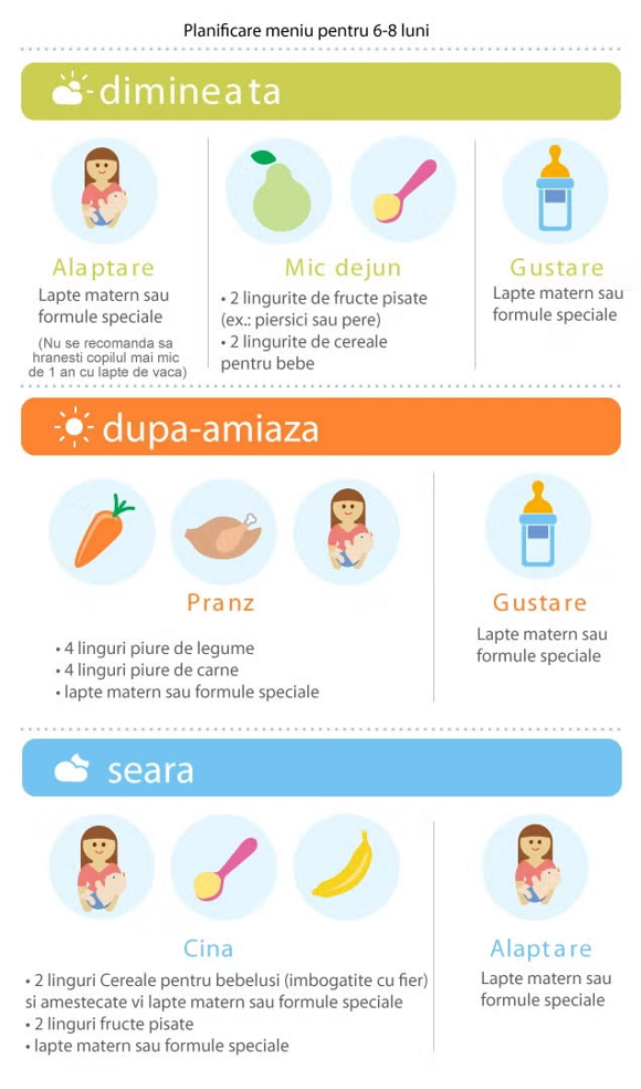 Planificare meniu pentru 6-8 luni