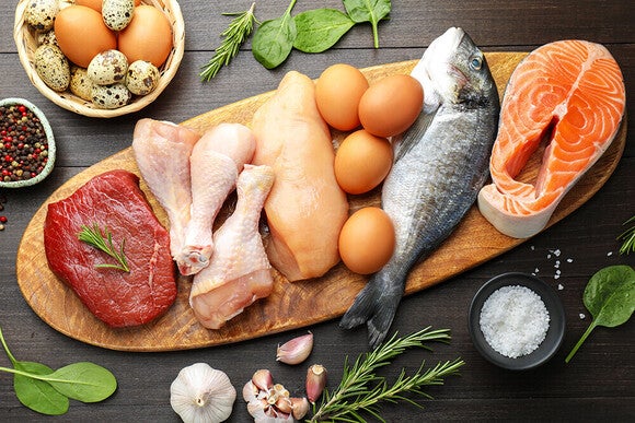 Photograph of assorted raw proteins—steak, chicken, whole fish, salmon, eggs, herbs