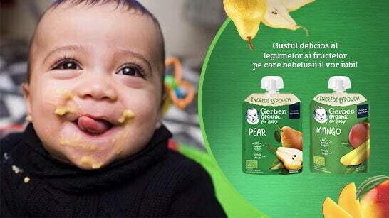 Piureuri Gerber Organic la plic Piureuri Gerber Organic la plic