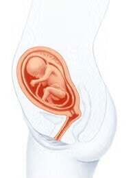 saptamana 20 de sarcina 