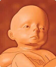 saptamana 29 de sarcina 