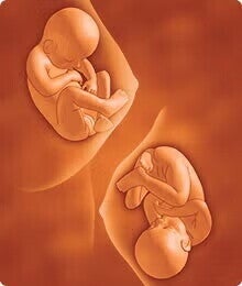 saptamana 33 de sarcina 