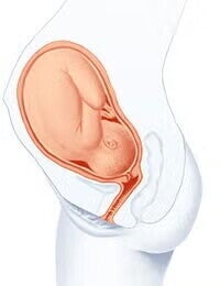 saptamana 33 de sarcina 