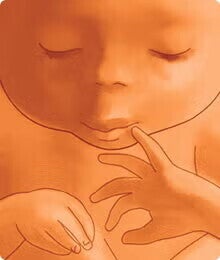 saptamana 40 de sarcina 