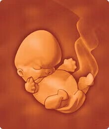 saptamana 9 de sarcina 