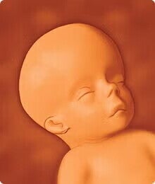 sarcina-saptamana-18