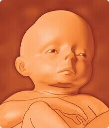 sarcina-saptamana-28