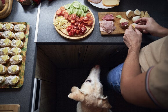 Photo: hands assembling crackers and charcuterie on a counter, eager yellow lab looking up.